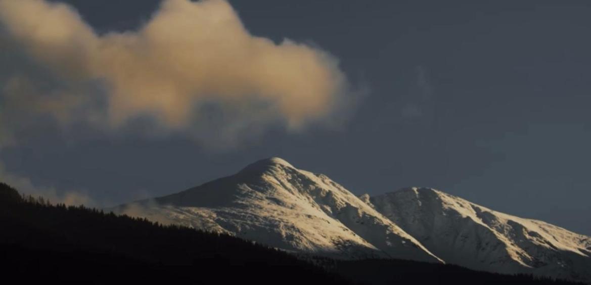 ホテル Valea Salbatica Sinca Noua エクステリア 写真