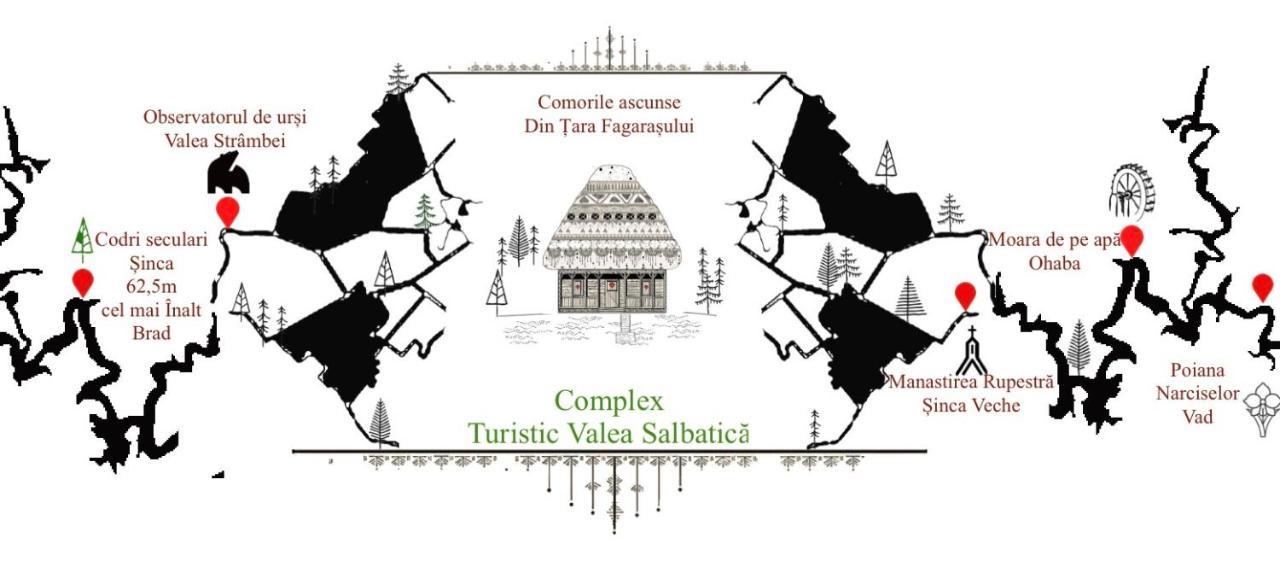 ホテル Valea Salbatica Sinca Noua エクステリア 写真