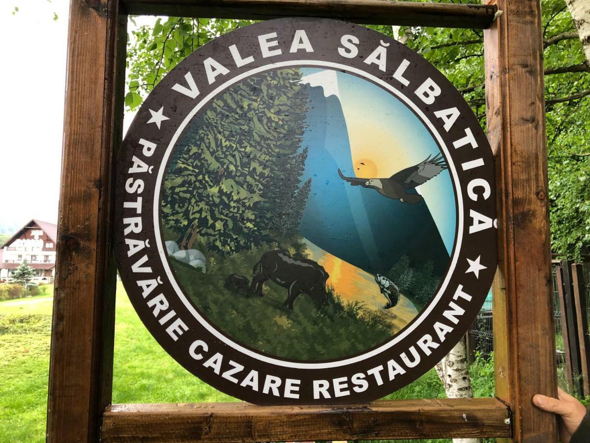 ホテル Valea Salbatica Sinca Noua エクステリア 写真